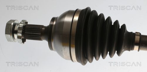 Kép 2