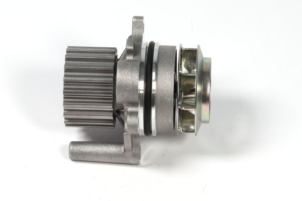 Kép 4