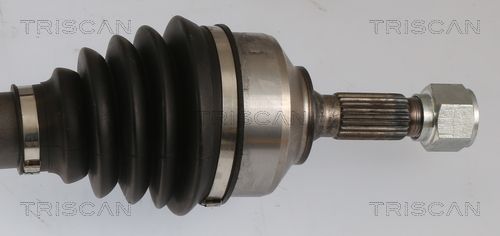 Kép 3