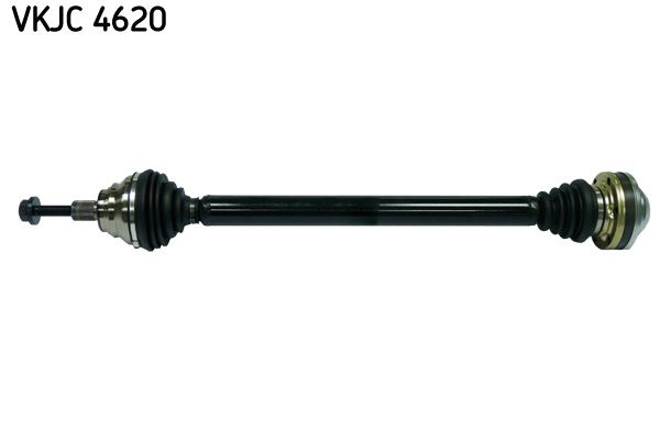 Kép 2