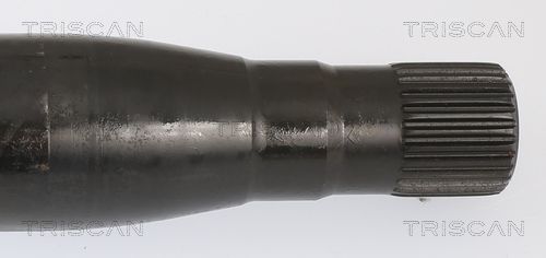 Kép 4