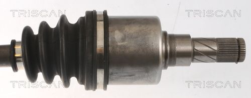 Kép 3