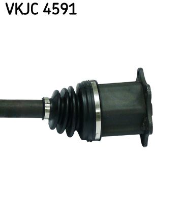 Kép 4