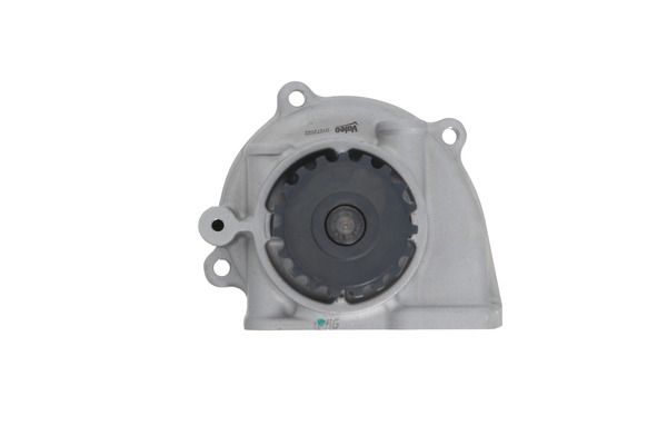 Kép 2