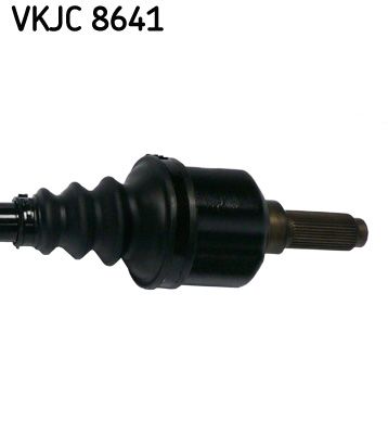 Kép 4