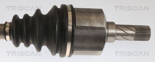 Kép 3